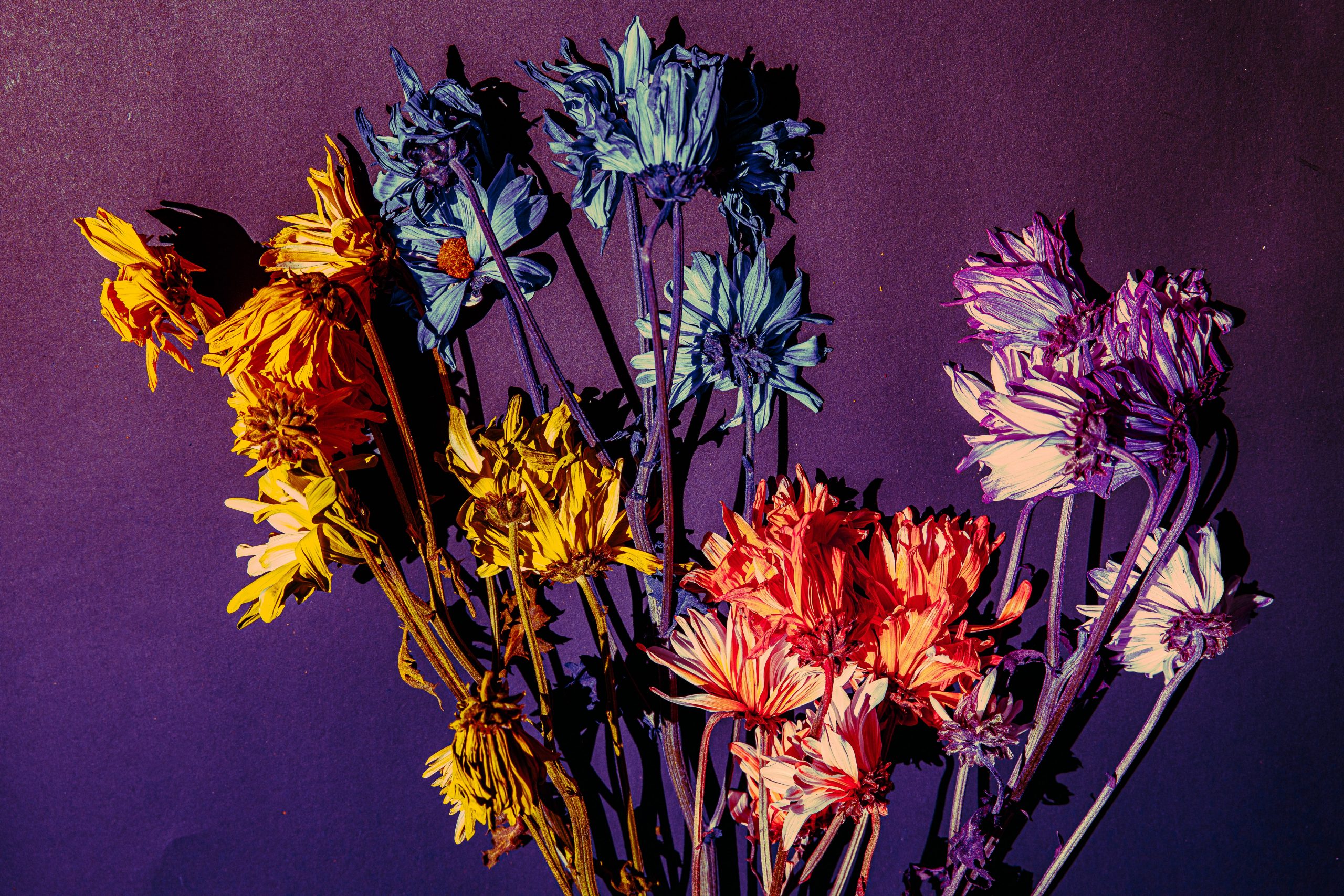 Photo by Ian Dziuk on Unsplash
